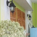 올리브 펫 이미지