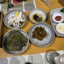 대구 생굴보쌈 맛집 수성구 해물탕도 맛있는 감나무집