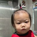 경희아침한의원 | 아기 아토피 치료 경희신창한의원 다녀온 후기 윤피청 한약