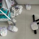 태리 성장기록(간식창고털이, 벽에머리를박아요, 또미리크리스마스, 돌사진촬영, 블록놀이, 이유식양이...