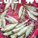 역전 씨푸드 네이버블로그