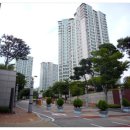 삼성SDI(주) 기흥부속의원 | 1단지 54평형 2019-17484 기흥구 공세동 대주피오레1단지아파트 신갈저수지 르노삼성자동차연구소 유한...