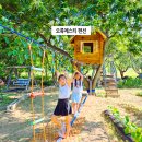 오륙에스티(56st) 이미지