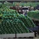 대양유화 이미지