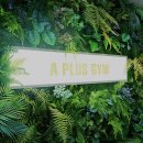 에이플러스 휘트니스 이미지