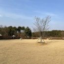 댕그라운드 이미지