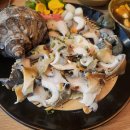 제주 보고정 투어 이미지