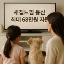 대전 인터넷 가입 설치 현금 사은품 비교 후기