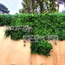 유림-1012 이미지