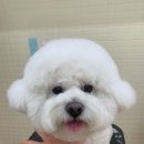 아우어패밀리 이미지