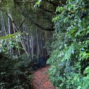 예래작은숲 이미지