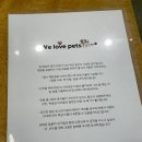 AB coffee | 춘천애견동반카페 | 라떼와 함께 브런치 즐기고 온 ‘MST’
