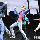 레드 MK스포츠