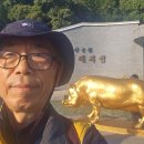 황금돼지 - 부천시 원미구 옥산로154번길 39 | 황금돼지