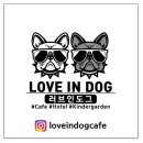 도그디저트 이미지