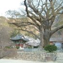 508민박 네이버블로그