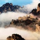 고대1104 이미지