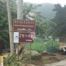 Blue Road 따라 대덕식당까지 이미지