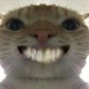 치킨클럽 이미지