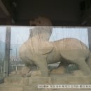 남경성 이미지