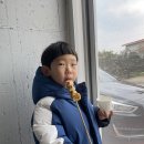상귀리아 네이버블로그