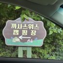 가평 당일치기 캠핑 몸만 가면 되는 완벽한 힐링 캠프닉 까사스위스 캠핑장