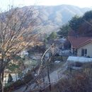 이엠존
