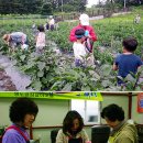 명도암 참살이 마을, 도시와 농촌 잇는 휴식공간 (자료;제주일보) 이미지