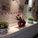 뉴알프스관광모텔 이미지