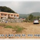 숲속의 휴