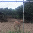 솔치농장 이미지