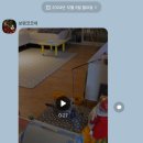 고양이분양 꽃개와 꽃냥 인천 청라점 이미지