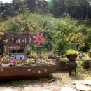 화천 산소길 자전거대여소 이미지