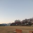 강변길 서천 | 두루누비 도보 여행길 - 서천코스모스길