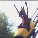 쑥산물산 | 배송비보다 싼 디카가 있다? 캐논 파워샷 A95 기추 후기/작례