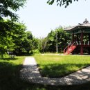 나무와 새 이미지