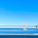 스미다 | [부산] 광안리 감성 자쿠지 숙소, 스미다 광안리 숙박 내돈내산 후기 (예약 전 필독)