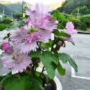 무진랜드&호텔 이미지