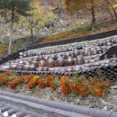 ◈ 제 183차 정기산행 - 봉화 청량산(10월 11일, 토요일) 산행 안내 ◈ 이미지