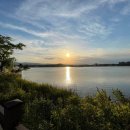 마마타타 이미지