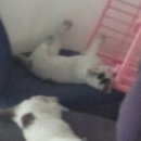 명진해수탕 이미지