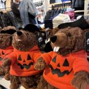 레이크앤씨빌리지 | 캘거리 일상 털이_ 페어몬트 레이크루이스 숙박후기 + 집밥 대잔치