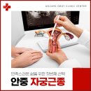 안중산부인과의원 이미지