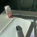 데이크 티스토리