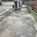 김포고등학교 이미지