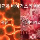 세균과 바이러스의 차이 이미지