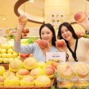 홍현농장 이미지