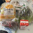 셀마트대현
