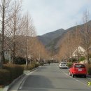 남해 금빛 이미지