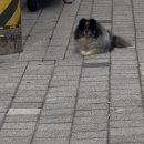 지(G)모텔 | 연속 9일 약속 실천하는 법